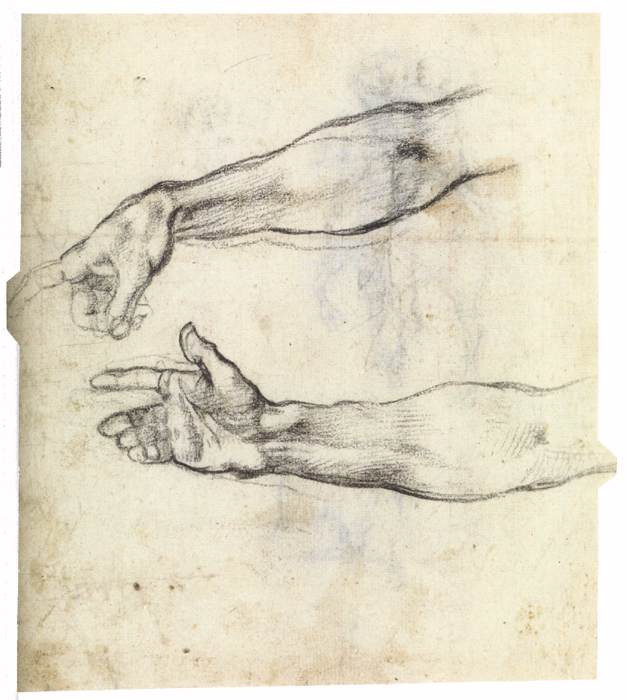Michelangelo-Buonarroti (70).jpg